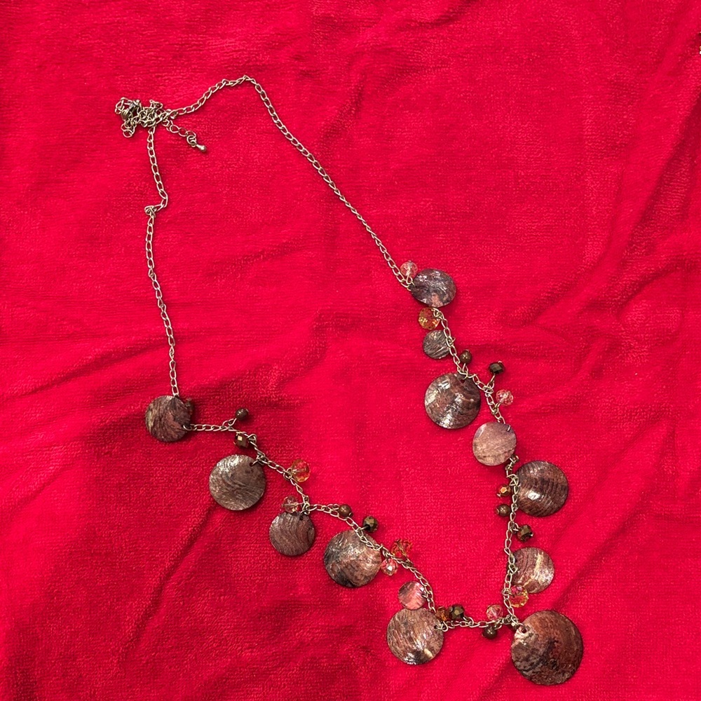 ☃️ NEW LOWER PRICE ☃️ ~ Elegant Silver and Brown Women's Necklace